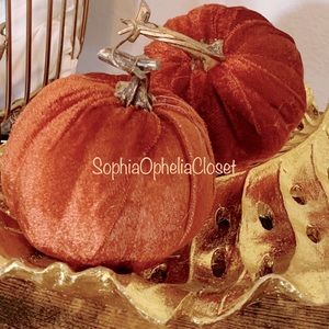 Modern Urban Fall Autumn Velvet 15”D Pumpkin Lot